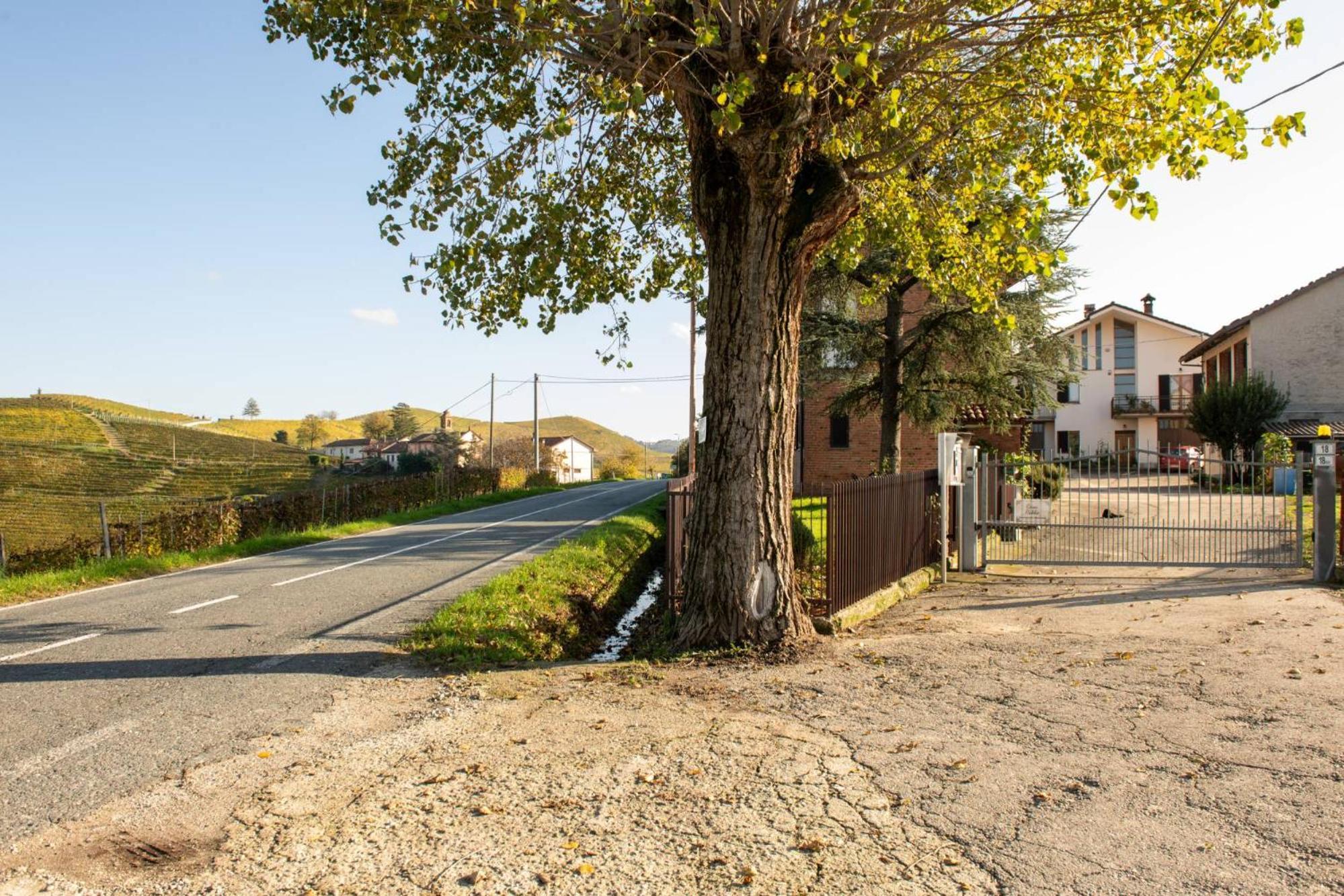 Casa Rubbo - Appartamento In Collina 'Monviso' 阿尔巴 外观 照片